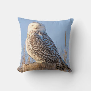 Chouette à neige - coussin
