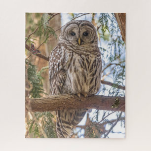 Chouette assise dans l'arbre Puzzle de la nature
