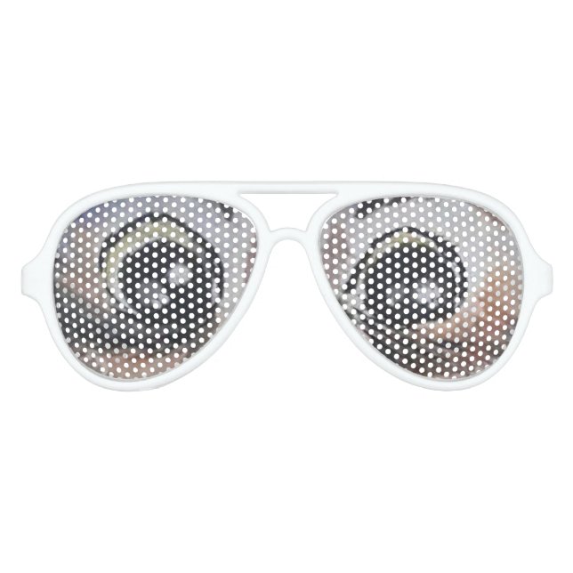 Chouette Aviator Lunettes de soleil Gros yeux (Devant)