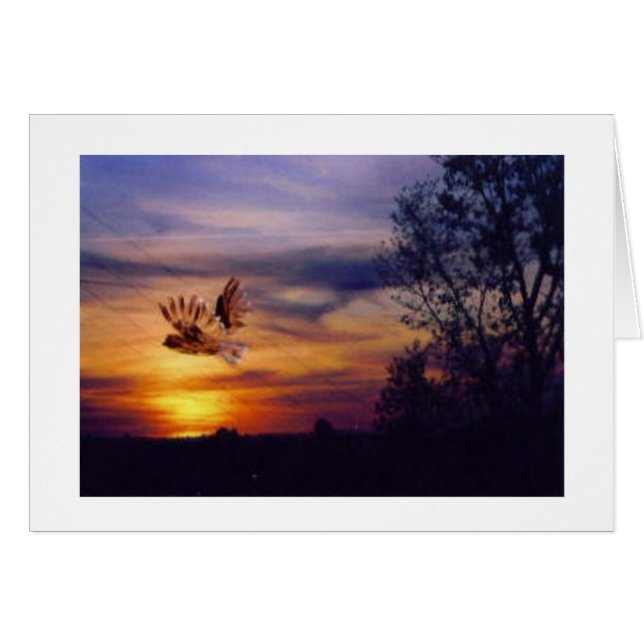 Chouette Coucher de soleil (Devant horizontal)