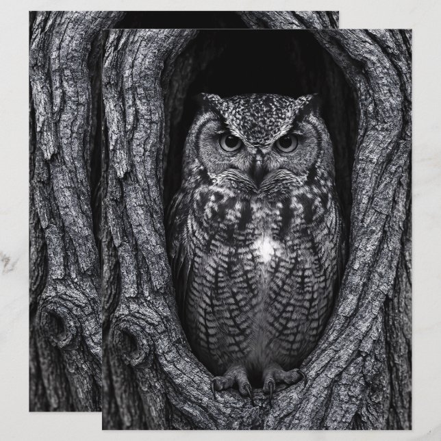 Chouette dans l'arbre Hollow noir et blanc Papier  (Devant / Derrière)