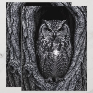 Chouette dans l'arbre Hollow noir et blanc Papier