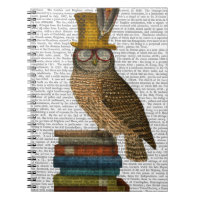 Chouette dans les livres