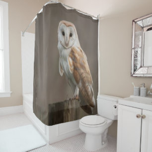 Chouette de rideau de douche