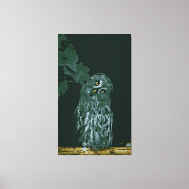 Chouette grise  Impression sur toile tendue (Recto)