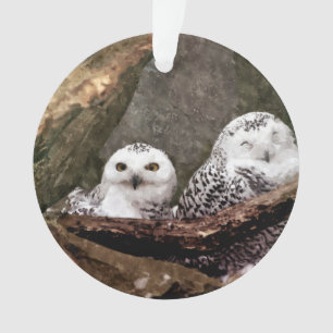Chouette Harfang Couple Art Bois Faune