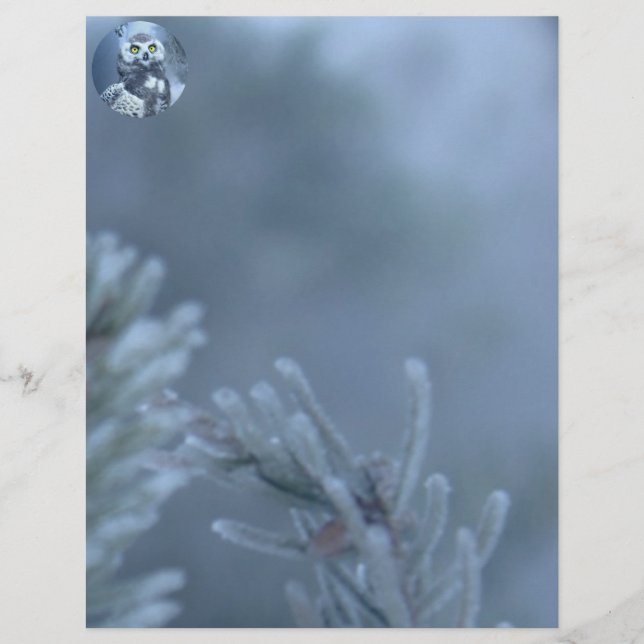 Chouette neigeuse en hiver (Devant)