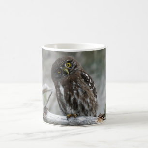 Chouette pygmée du Nord - Mug de café
