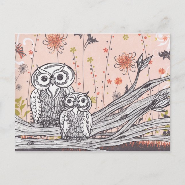 Chouettes 15 cartes postales (Devant)