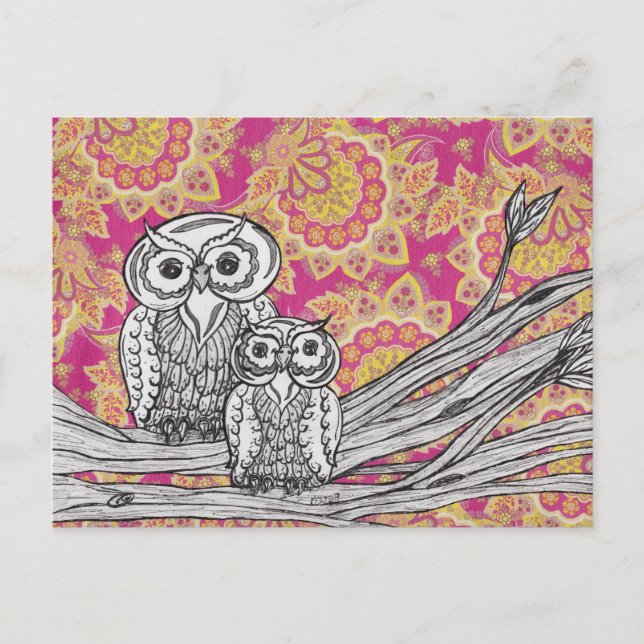 Chouettes 36 Cartes postales (Devant)