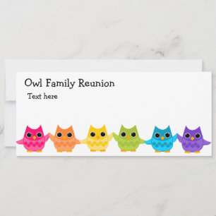 Chouettes arc-en-ciel