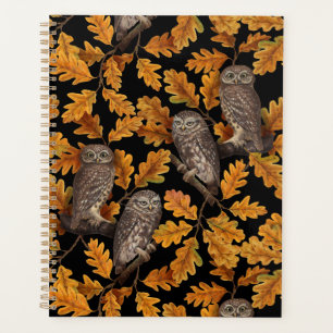 Chouettes d'automne sur noir