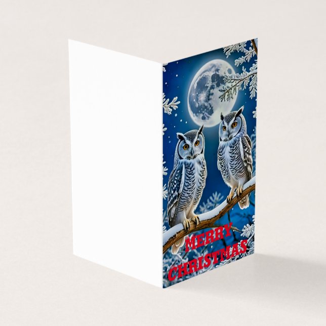 Chouettes de Noël (Outside)