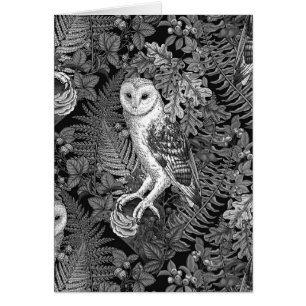 Chouettes, fougères, chênes et baies 4