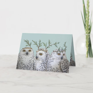 Chouettes neigeuses sur carte aqua