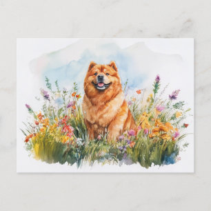 Chow Chow - Carte postale