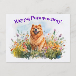 Chow Chow Postcroisement - Carte postale