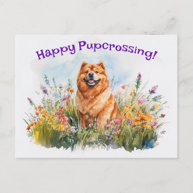Chow Chow Postcroisement - Carte postale (Devant)