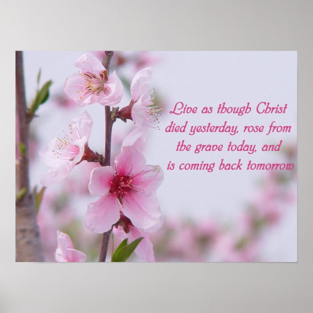 Christian Dire Poster (Devant)