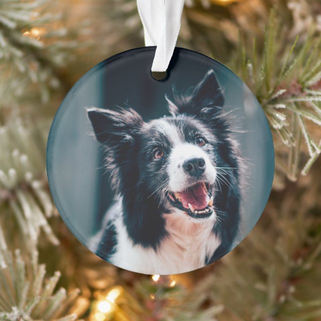 Christmas Dog Photo  (Arbre)
