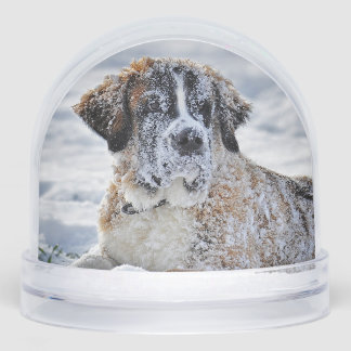 Christmas, Keepsake, or Memorial Custom Pet Photo