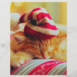 Christmas Kitten