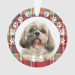 Christmas Shih Tzu Chien Animaux de Compagnie Phot