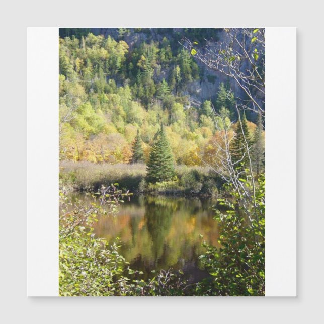 Christmas Tree holiday card, magnetic card (Devant)