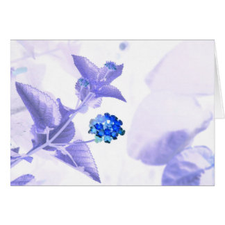 CHROMATOGRAPHIE GAZEUSE de communication