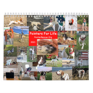 Chroniques 2021 pour le calendrier de vie de Point
