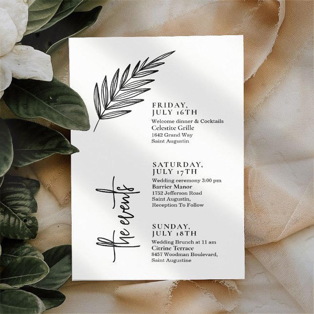 Chronologie des événements Mariage par script text (Créateur téléchargé)