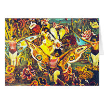 CHRYSALIS ET PAPILLON