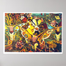 Chrysalis et papillon - Poster