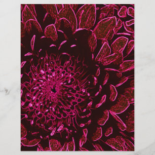 Chrysanthème