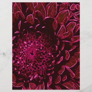 Chrysanthème