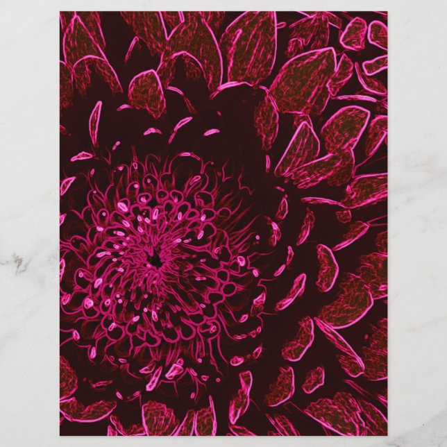 Chrysanthème (Devant)