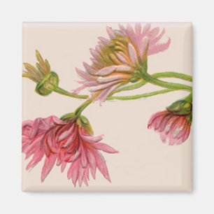 Chrysanthème - Aimant