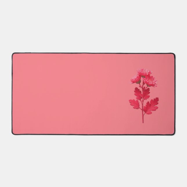 Chrysanthème rose  (Recto)