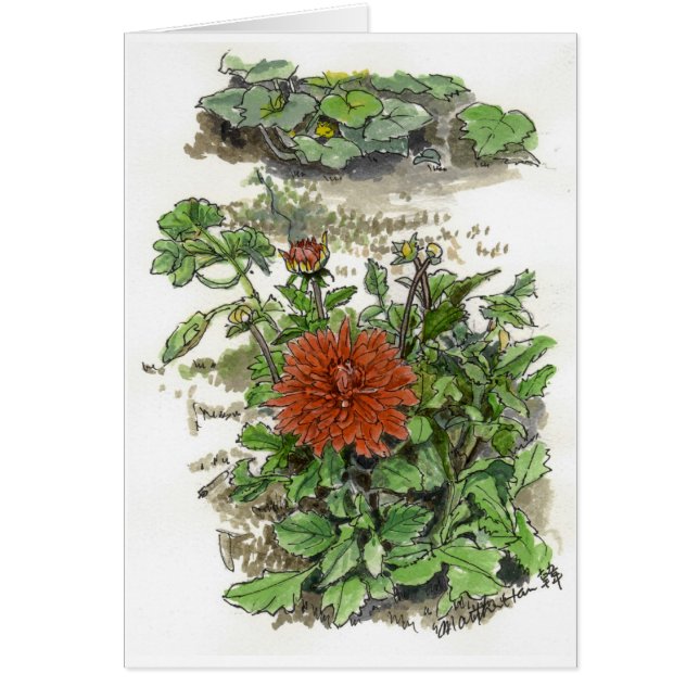 Chrysanthème rouge (Devant)