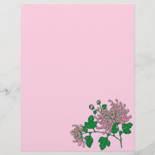 Chrysanthèmes d'araignée chinois, rose doux