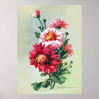 Chrysanthèmes rose par Catherine Klein Poster