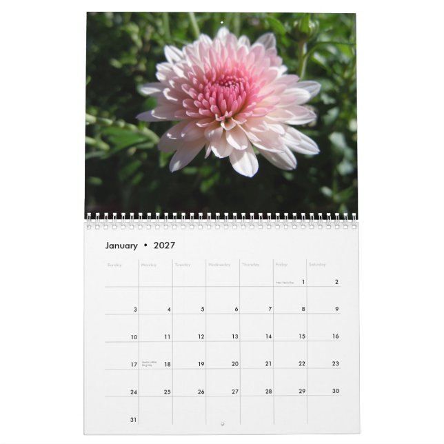 Chrysanthèmes roses, un calendrier 2012 (Jan 2027)