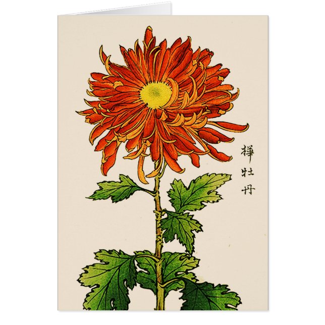 Chrysanthemum japonais vintage. Orange et or (Devant)