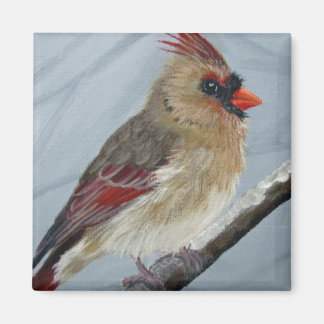 Chubby Cardinal Femme - Magnet