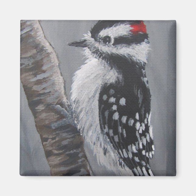 Chubby Downy Woodpecker - Magnet (Devant)