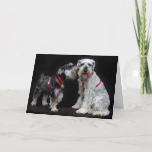 Chuchotement de Schnauzers de la carte de voeux