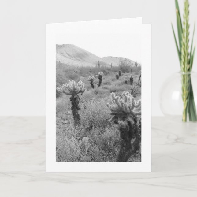 Chumping Cholla Cactus Desert Carte de voeux photo (Devant)