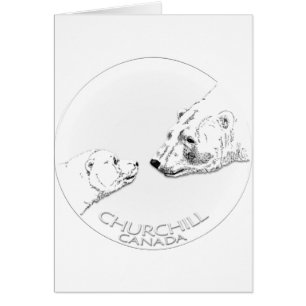 Churchill Souvenirs Ours Polaire Chemises & Cadeau