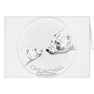 Churchill Souvenirs Ours Polaire Chemises & Cadeau
