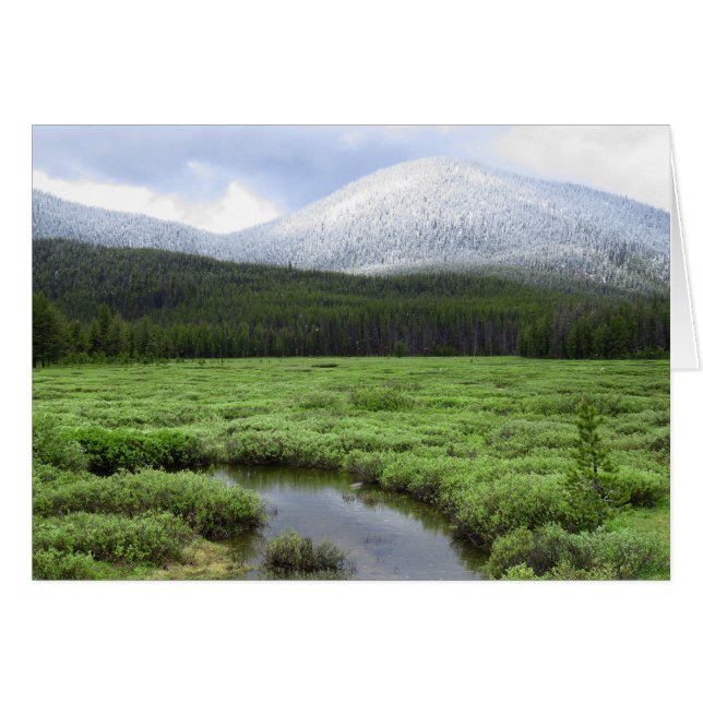 Chute De Neige De La Montagne Idaho (Devant horizontal)